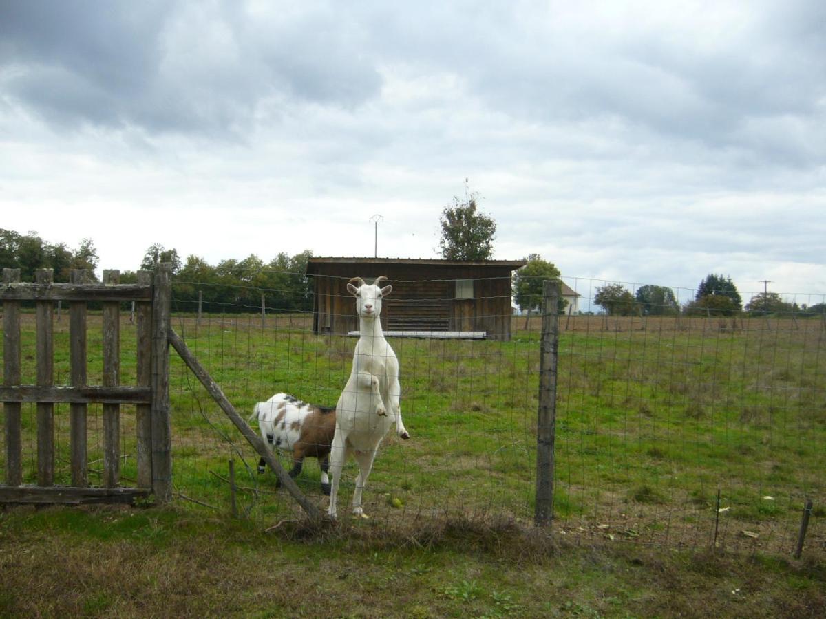 Appartement Le Domaine Des Libellules Proche Walibi Corbelin Esterno foto